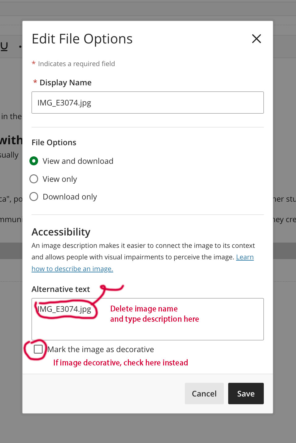 when submitting image in Blackboard, where to include the alt text
